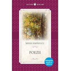 &206;n colec&539;ia Lecturi &537;colare se reg&259;sesc cele mai importante opere din literatura rom&226;n&259; &537;i universal&259; selectate &238;n conformitate cu cerin&539;ele programei &537;colare de limba &537;i literatura rom&226;n&259;Astfel elevii vor avea la &238;ndem&226;n&259; &238;n form&259; integral&259; crea&539;iile cele mai cunoscute &537;i mai &238;ndr&259;gite ale scriitorilor clasici &537;i moderni &238;nso&539;ite de o scurt&259; 