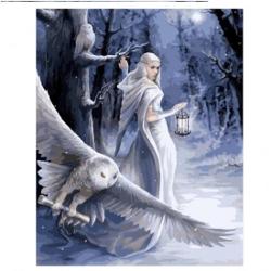 Set creativ de pictat Pictura pe numere Midnight Messenger Anne Stokes 40x50cm Craft Buddy