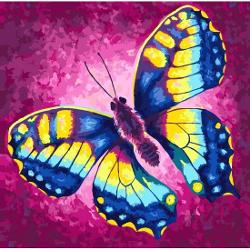 Set creativ de pictat Pictura pe numere Chage - Rachel Froud 30x30cm Craft Buddy