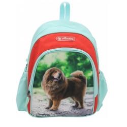 Rucsac Cool motiv Boss Phantom rosuIdeal pentru copii 3 – 6 aniGhiozdanele si rucsacurile Herlitz sunt singurele din Romania acreditate si recomandate de Societatea Romana de Pediatrie Au structura rezistenta atent captusita astfel incat sa asigure ergonomia distributia presiunii si greutatii in mod egal pe coloana precum si aerisirea spatelui si a umerilor Pozitia rucsacului este reglabila in functie de conformatia copilului – lucru extrem de important 