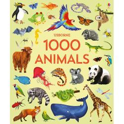 A beautifully illustrated reference book filled with 1000 amazing animals from lizards and llamas to gorillas great white sharks and much more Every picture is labelled with its name and there’s an index of all the names at the back of the book A wonderful way to discover the wildlife and ecology of different habitats