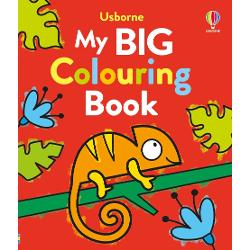 From animals and trucks to superheroes mermaids and unicorns young children can have hours of fun filling in all kinds of pictures in this first colouring book It contains over 90 charming yet simple outlines with large areas to colour helping children develop mark-making and pen-control skills 