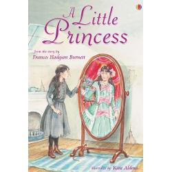 A gorgeous retelling of Frances Hodgson Burnett’s poignant novel The story of kind-hearted Sara Crewe and her struggles at boarding school as she goes from riches to rags following the death of her beloved father Elegantly illustrated by Kate Aldous Part of Young Reading Series 2 for readers growing in confidence 