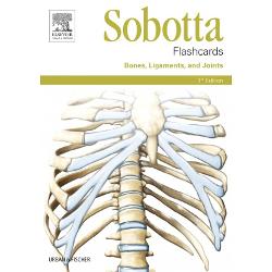 The Sobotta flashcards provide you with a fun way to prepare for tests and exams in the subject area of bones ligaments and joints New training conceptThe exemplary exam question on each card will help you familiarise yourself with the exam situation The question is answered on the back of the cardOne side of the card shows a labelled anatomical illustration the 