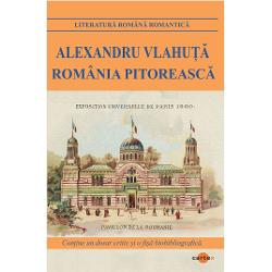 Romania pitoreasca-Alexandru VlahutaPusa in grila contemporana Romania pitoreasca poate fi citita si ca o carte de promovare turistica mai putin conventionala dar poate ceva mai eficienta Cum de asemenea textul are si un potential de istorie a Romaniei fin de siècle Jurnalul de calatorie al lui Vlahuta incepe cu o croaziera pe Dunare de la Portile de Fier pana la Marea Neagra; descrie apoi intr-un capitol intitulat “Pe Marea Neagra” aventura la malul 