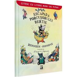 Bertie este un porcusor indraznet al carui motto este Fapte nu grohaituri Intr-o noapte de decembrie dinaintea Craciunului el si prietenii lui merg la colindat la domnul Stone sperand ca dupa aceea vor fi invitati sa se bucure de o cina splendida Si asa incepe o seara care se dovedeste mai mult decat o aventura pentru BertieIlustratii de Ernest H Shepard