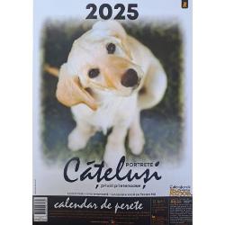 Calendar perete 13 file spir&259; metalic&259; dubl&259; &537;i ag&259;&539;&259;toareDimensiune 3347 cm