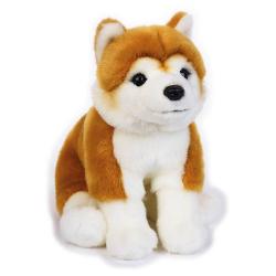 Alege catelul din plus Shiba Inu de 25 cm un prieten moale si adorabil pentru cei mici Realizat din materiale de inalta calitate acest Shiba Inu din plus este perfect pentru imbratisari si momente pline de bucurie Designul simpatic si atent la detalii reda trasaturile specifice rasei Shiba Inu facand aceasta jucarie perfecta pentru copii dar si pentru colectionariCu livrare imediata din stoc aceasta jucarie este cadoul ideal pentru orice ocazie aducand zambete pe chipul 