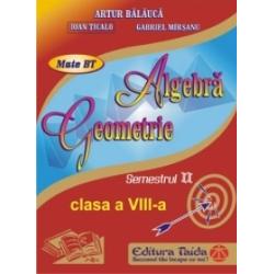 Algebra geometrie clasa a VIII a semestrul I