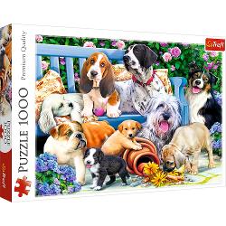 Un puzzle de calitate trebuie sa fie relaxant si distractiv Aranjarea unui puzzle constituie atat pentru copii cat si pentru adulti este o modalitate deosebita de dezvoltare a indemanarii spiritului de observatie si a concentrarii Trefl este o companie poloneza cu sediul central in regiunea Pomorze Incepand din 1985 compania a inceput sa produca puzzle-uri dezvoltand ulterior si segmentul de carti de joc si jocuri de societate In prezent Trefl este lider in Polonia si plina expansiune in 