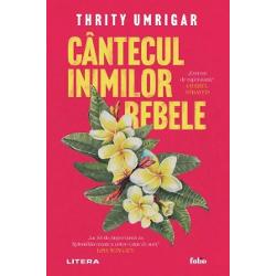 &Icirc;n&nbsp;C&acirc;ntecul inimilor rebele Smita jurnalist&259; american&259; de origine indian&259; se &icirc;ntoarce &icirc;n India pentru a realiza un reportaj; nu o face cu drag&259; inim&259; deoarece a p&259;r&259;sit &539;ara cu mul&539;i ani &icirc;n urm&259; &icirc;mpreun&259; cu familia f&259;r&259; nici un g&acirc;nd de a reveni &Icirc;n timp ce urm&259;re&537;te cazul Meenei o hindus&259; atacat&259; de cons&259;teni &537;i de propria-i 