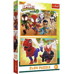 Un puzzle calitate trebuie sa fie relaxant si distractiv Aranjarea unui puzzle constitue atat pentru copii cat si pentru adulti este o modalitate deosebita de dezvoltare a indemanarii spiritului de observatie si a concentrarii Trefl este o companie poloneza cu sediul central in regiunea Pomorze Incepand din 1985 compania a inceput sa produca puzzle-uri dezvolatand ulterior si segmentul de carti de joc si jocuri de societate In prezent Trefl este lider in Polonia si plina expansiune in 