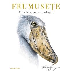 În aceast&259; carte spectaculos ilustrat&259; artistul naturalist William Spring ne poart&259; într-o c&259;l&259;torie printr-o lume plin&259; de creaturi neobi&537;nuite &537;i uimitoare De la pas&259;rea abumarkub cu aerul ei preistoric pân&259; la narvalul fantastic fiecare animal ne arat&259; cât de uimitor a &537;tiut natura s&259; se adapteze Un omagiu adus evolu&539;iei diversit&259;&539;ii &537;i frumuse&539;ii vie&539;ii în 