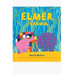 LAUREAT AL PREMIULUI BOOKTRUST PENTRU ÎNTREAGA CARIER&258; M&259;tu&537;a Zelda &537;tie c&259; trebuie s&259; îi dea ceva lui Elmerdoar c&259; nu-&537;i poate aminti ce