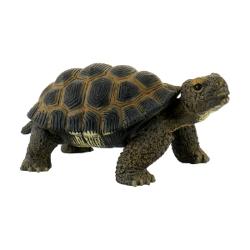 Figurina Bullyland pictata manual si realizata dintr-un material plastic care nu contine PVCDimensiuni ‎13 x 78 x 599 cmVarsta recomandata 3 aniAvertismente Contraindicat copiilor mai mici de 3 ani A se folosi sub directa supraveghere a unei persoane adulte