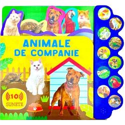 Animale de companie editura Flamingo GD 2025 