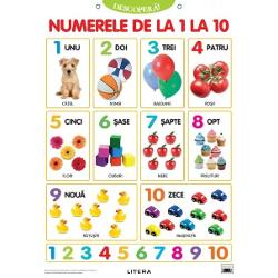 Aceast&259; colec&539;ie de PLAN&536;E COLOR cu dimensiuni de 48x68 cm este instrumentul ideal pentru îmbog&259;&539;irea &537;i fixarea cuno&537;tin&539;elor dobândite la gr&259;dini&539;&259; sau la &537;coal&259; Plan&537;ele pot decora atât pere&539;ii camerei copiilor cât &537;i pe cei ai s&259;lii de clas&259;