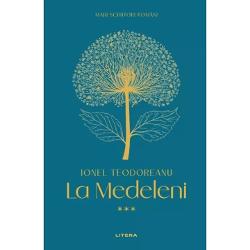 La Medeleni urmareste viata a trei copii – Danut Olguta si Monica – pe parcursul unui interval de timp semnificativ din existenta lor copilaria si adolescenta Acestia traiesc pe mosia familiei Deleanu la Medeleni intr-o perioada de tranzitie din istoria Romaniei pe fondul unor schimbari sociale si politice importante Romanul este in esenta o evadare in lumea inocenta a copilariei dar si o reflectie asupra schimbarilor inevitabile care vin odata cu varsta si cu 