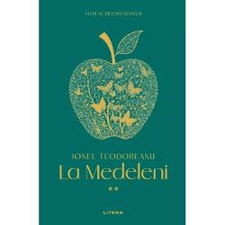 La Medeleni urmareste viata a trei copii – Danut Olguta si Monica – pe parcursul unui interval de timp semnificativ din existenta lor copilaria si adolescenta Acestia traiesc pe mosia familiei Deleanu la Medeleni intr-o perioada de tranzitie din istoria Romaniei pe fondul unor schimbari sociale si politice importante Romanul este in esenta o evadare in lumea inocenta a copilariei dar si o reflectie asupra schimbarilor inevitabile care vin odata cu varsta si cu 