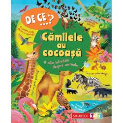 Afl&259; r&259;spunsurile la toate întreb&259;rile pe care &539;i le-ai pus despre animale De ce nu pot pinguinii s&259; zboareCe pe&537;te poate s&259; se ca&539;ere în copaciCât de repede poate s&259; alerge un ghepard  Descoper&259; mai multe 