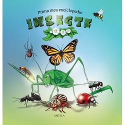 Prima mea enciclopedie Insecte îi va introduce pe cei mici în lumea insectelor Vocabularul de la final vine ca o completare a întregii enciclopedii &351;i explic&259; unele cuvinte întâlnite de-a lungul celor 48 de pagini  Un trailer al acestei c&259;r&539;i îl vede&539;i la 