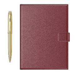 Set cu pix Sheaffer 100 si agenda Organizer A4