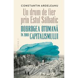 In anii 1830 Dobrogea era aproape necunoscuta lumii occidentale Calatorii straini o descriau drept o campie nepopulata si saracaZona periferica a Imperiului Otoman Dobrogea a capatat o mai mare importanta strategica dupa ce Rusia a ajuns la Gurile Dunarii preluand astfel controlul asupra liberei navigatii Inginerii negustorii si diplomatii europeni au propus constructia unui canal sau a unei linii ferate care 