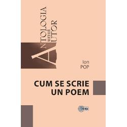 Ion Pop este unul dintre cei mai inteligen&539;i &537;i exac&539;i critici literari din ultimele decenii Activ cronicar al edi&539;iilor poetice curente &537;i cercet&259;tor de seam&259; al avangardei literare rom&acirc;ne&537;ti propria sa oper&259; poetic&259; a r&259;mas &icirc;n mare parte &icirc;ntr-un con de umbr&259; de&537;i cu notabile excep&539;ii Al Cistelecan &icirc;l consider&259; &bdquo;unul din poe&539;ii cei mai 
