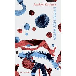 Andrei Zbirnea mizeaza pe o forma de asociationism neopostavangardist aglutinand mituri urbane secvente de realitate augmentata aventuri imersive in campul digital sau scene tandre de implinire domestica Exista in Valea Sapunului o fervoare a etosului hipster tradusa intr-o frazare poetica energic-tensionata si intr-o logica afectiva alternativ grava si ludica pe ritmuri pop-rock Personajele oscileaza intre &bdquo;minutul de afectiune&ldquo; si 