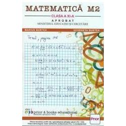 Matematica clasa a XI-a M2