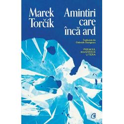 &206;n romanul s&259;u de debut care aminte&537;te de opera scriitorului francez &201;douard Louis Marek Tor&269;&237;k ne conduce &238;ntr-o c&259;l&259;torie captivant&259; prin labirintul propriilor amintiri evoc&226;nd experien&539;a unei copil&259;rii &537;i adolescen&539;e petrecute &238;ntr-o familie dezbinat&259; dintr-un or&259;&537;el industrial conservatorS&259; ui&539;i e deseori mai complicat dec&226;t s&259;-&539;i aminte&537;ti se 