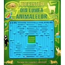Jucarie reala labirint cu bila metalica&nbsp;