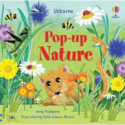 Take a closer look at nature in this wonderful pop-up book which brings a nature walk to life - springing out from the pages See a pop-up bees buzzing in the flowers a mouse in a blackberry bush and watch a moving woodpecker pecking and a frog swimming by in a pond A wonderful way to celebrate nature with little children With free online audio to listen to