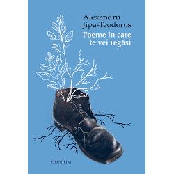 &bdquo;F&259;r&259; s&259; pretind&259; c&259; este poet Alexandru Jipa-Teodoros ia poezia &icirc;n serios &537;i scrie versuri pentru a cuprinde &icirc;n ele st&259;ri fulgura&539;ii amintiri reverii Discursul lui este dezinhibat aglutin&acirc;nd ecouri poetice din epoci diverse pigmentate cu mult umor &537;i autoironiePoeme &icirc;n care te vei reg&259;si ne ofer&259; un spa&539;iu ludic &icirc;n care vocea celui care scrie &icirc;&537;i pune diferite 