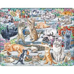 Puzzle Larsen Pisicute FH51
