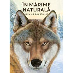 S&259; te &icirc;nt&acirc;lne&537;ti fa&539;&259; &icirc;n fa&539;&259; cu un lup S&259; dai nas &icirc;n nas cu un urs Sau s&259; prive&537;ti o c&259;prioar&259; &icirc;n ochii s&259;i mari &Icirc;n s&259;lb&259;ticie astfel de &icirc;nt&acirc;lniri sunt aproape imposibile Majoritatea animalelor sunt foarte sperioase &537;i se ascund de noi oamenii Dar aceast&259; carte este una magic&259; &icirc;n ea animalele ne privesc de foarte aproape ochi &icirc;n ochi 