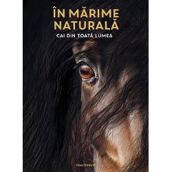 &538;i&8209;ar pl&259;cea s&259; stai fa&539;&259; &icirc;n fa&539;&259; cu un cal uria&537; din rasa Shire S&259; prive&537;ti ad&acirc;nc &icirc;n ochii unui Purs&acirc;nge Arab Sau s&259; m&acirc;ng&acirc;i botul moale al unui ponei de Shetland dr&259;g&259;la&537; Nu to&539;i cei care iubesc caii au &537;ansa de a fi at&acirc;t de aproape de ei &Icirc;ns&259; &icirc;n paginile acestei c&259;r&539;i animalele ne privesc drept &icirc;n ochi Mai mult ele sunt 