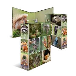 Biblioraft&nbsp;A4 cu fotografii cu animale din p&259;dure Include veveri&539;e vulpi c&259;prioare iepuri &537;i multe altele Excelent pentru to&539;i iubitorii de animale &537;i &icirc;n special pentru cei c&259;rora le place s&259; fie &icirc;n p&259;dure Fabricat din carton rezistent de &icirc;nalt&259; calitate cu orificiu pentru degetul mare &537;i mecanism cu p&acirc;rghie inclusiv bar&259; de compresor imprimat &icirc;n interior pentru depozitarea optim&259; a 
