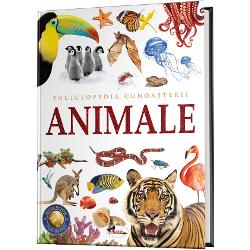Care au fost primele animale de pe Pamant Ce diferente exista intre reptile si amfibieni Ce sunt mamiferele Cu ce se hranesc insecteleEnciclopedia &bdquo;Animale&rdquo; iti va raspunde la aceste intrebari si la multe altele Lectura dar si invatarea vor fi mai atractive cu ajutorul imaginilor a diagramelor si a dictionarului care iti ofera definitii ale unor termeni cu care nu esti familiarizat De asemenea sectiunea &bdquo;Este uimitor&rdquo; prezinta fapte amuzante 