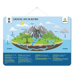 Potrivite at&acirc;t la &537;coal&259; c&acirc;t &537;i acas&259; aceste postere vor &icirc;mbog&259;&539;i at&acirc;t cuno&537;tin&539;ele c&acirc;t &537;i decorul clasei sau al camerei copiluluiFiecare poster are col&539;urile rotunjite &537;i o ag&259;&539;&259;toare