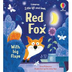 At night everyone is fast asleep - or are they In the garden theres a curious red fox Lift the flaps to find her as she sniffs around in the garden and discover all kinds of other animals From a frog in the pond and a mouse near the compost heap to a hooting owl taking off into the starry sky little children will love discovering what goes on outside while they are asleep