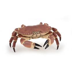 Ce poate fi mai frumos decat sa explorezi varietatea speciilor de animale si pasari existente pe Terra Acum iti poti imbogati cunostintele intr-un mod interactiv prin intermediul figurinelor licentiate PapoFigurina Papo-Crab este o jucarie pictata manual care atrage prin detaliile care redau infatisarea animalului viuCrabul este denumirea data mai multor specii de crustacee superioare din 