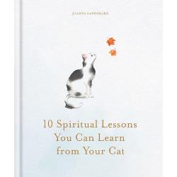 10 Spiritual Lessons You Can Learn from Your Cat Essential Life Lessons We Can Learn From Our Furry Friend&nbsp;