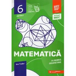 Avizat MEC conform OME nr 417409042024 Cea mai populara si mai longeviva colectie de matematica din Romania&nbsp;MATE 2000 a Editurii Paralela 45 reprezinta de mai bine de doua decenii&nbsp;suportul numarul 1 de invatare a matematicii pentru majoritatea elevilor din invatamantul preuniversitar atat prin activitatile matematice de consolidare si aprofundare cat si prin activitatile de ameliorare si dezvoltare concepute in conformitate cu programele scolare in vigoare Seriile 