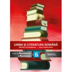 Limba si literatura romana Caiet de antrenament si aprofundare clasa a VI a