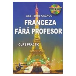 Franceza fara profesor