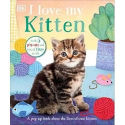 Meet five of the cutest kittens and their furry friends and find out what makes each of them so specialIn this charming book filled with beautiful illustrations and fun facts little ones meet gorgeous pop-up kittens and lift flaps to discover the cutest surprises With five pop-up kitties to meet and lots more kittens to find along the way little cat lovers can play peekaboo whilst also learning what kittens like to do and how to take care of them