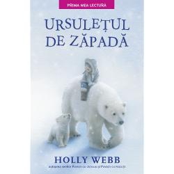 Mai sunt câteva zile pân&259; la Cr&259;ciun &537;i afar&259; ninge ca-n pove&537;ti Sara face un ursule&539; de z&259;pad&259; iar bunicul ei construie&537;te un iglu perfect pentru o noapte cu pove&537;ti de la Polul Nord Când Sara se treze&537;te îns&259; nimic nu mai e la fel iar aventura magic&259; pe t&259;râmul înghe&539;at abia acum începe…