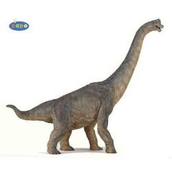 Figurina Papo-Dinozaur BrachiosaurusJucarie educationala realizata manual excelent pictata si poate fi colectionata de catre copii sau adaugata la seturile de joaca cum ar fi animale preistoriceetcNu contine substante toxice Varsta 3 ani