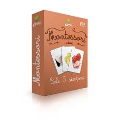 Cele 5 simturi Carti de joc educative Montessori Seria 4